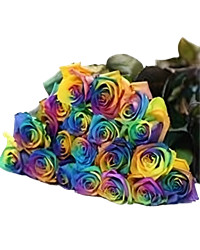 rainbow roses