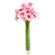 pink gerberas in a vase. Mogilev